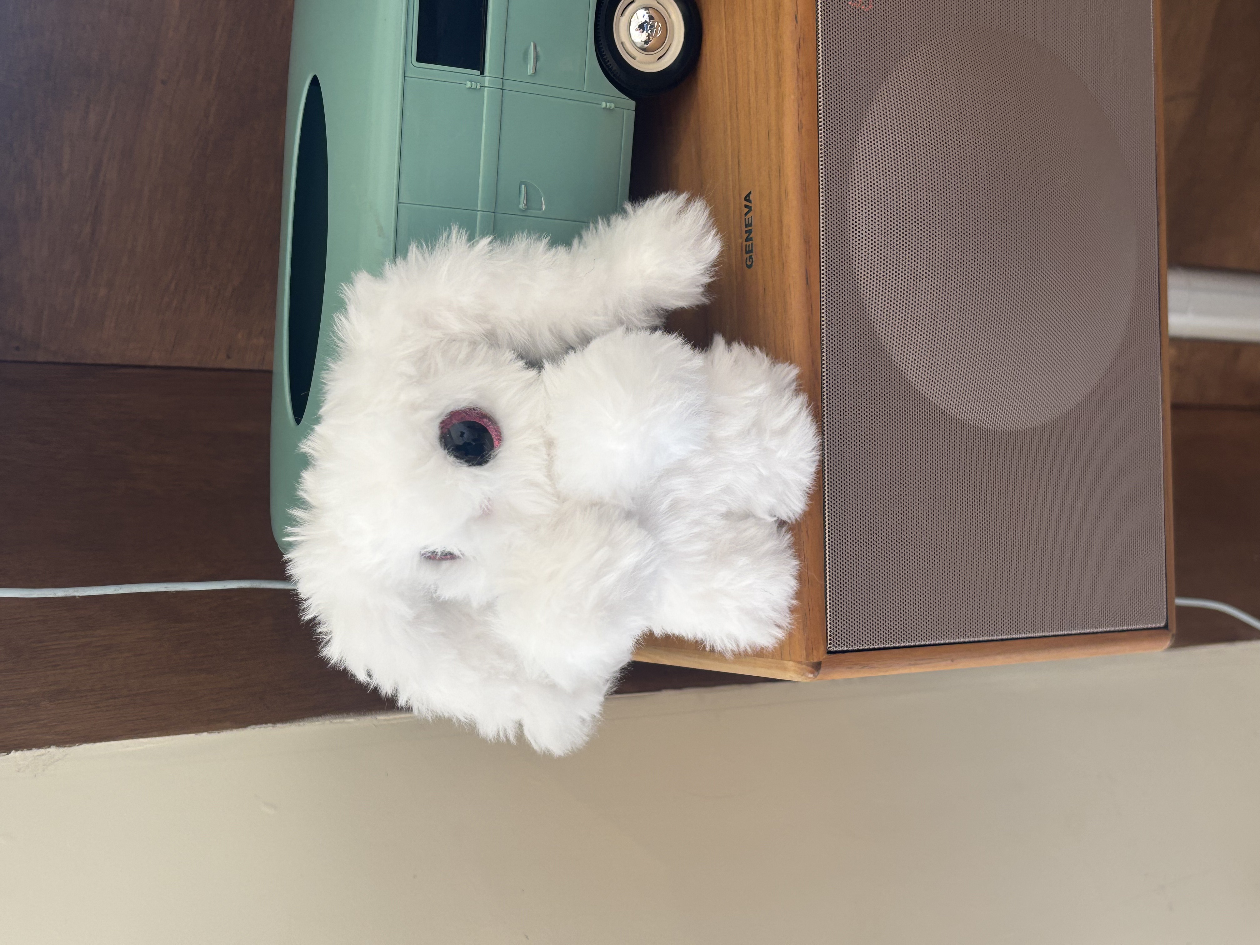 Lop Rabbit Cafe 2